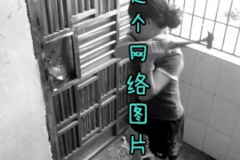 高利贷合法催收手段：揭秘合规之路