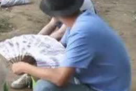 高质量的上海讨债公司:专业、高效、合规的债权回收保障 高质量的上海讨债公司:专业、高效、合规的债权回收保障