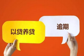 金乡收债公司排名前十名：揭秘高效债务回收的幕后英雄