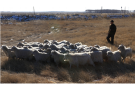 连云港收账公司哪家好?——揭秘优质收账服务的选择标准 连云港收账公司哪家好?——揭秘优质收账服务的选择标准