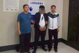 古田清数公司哪家好?揭秘古田地区数据服务行业的佼佼者 古田清数公司哪家好?揭秘古田地区数据服务行业的佼佼者