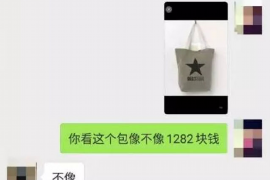 共同借款时效催收：解决债务问题的有效途径