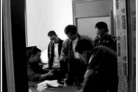 我家的猫是讨债的：揭秘猫咪的神秘行为